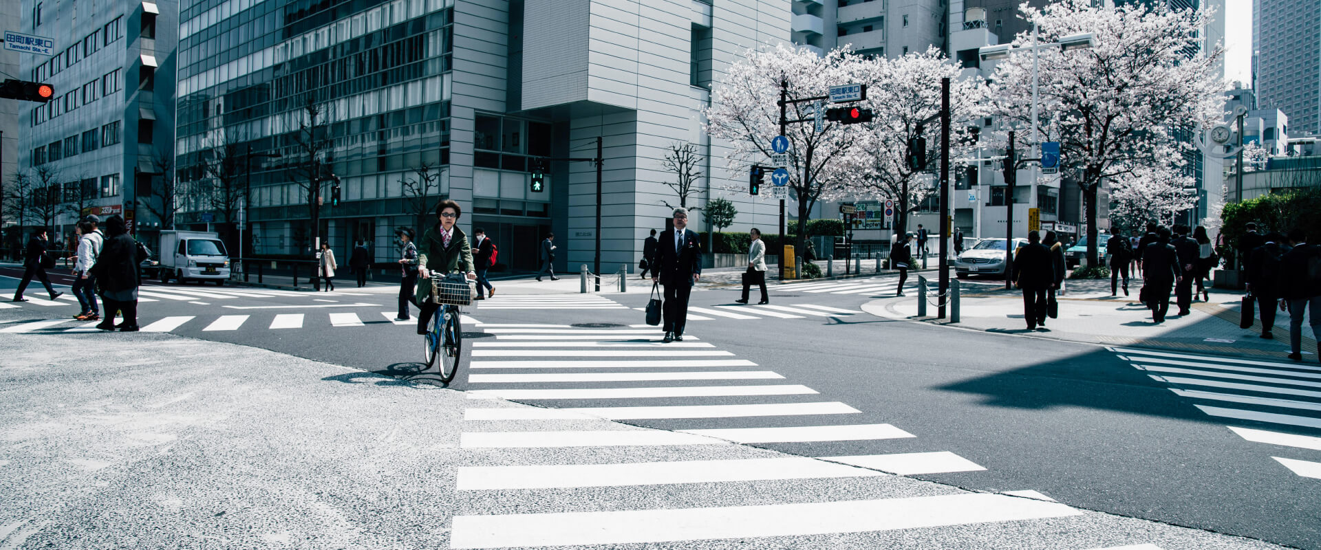 LPE88 APK Download for Android & iOS